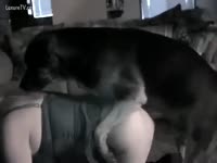 Dog creampie with an MILF